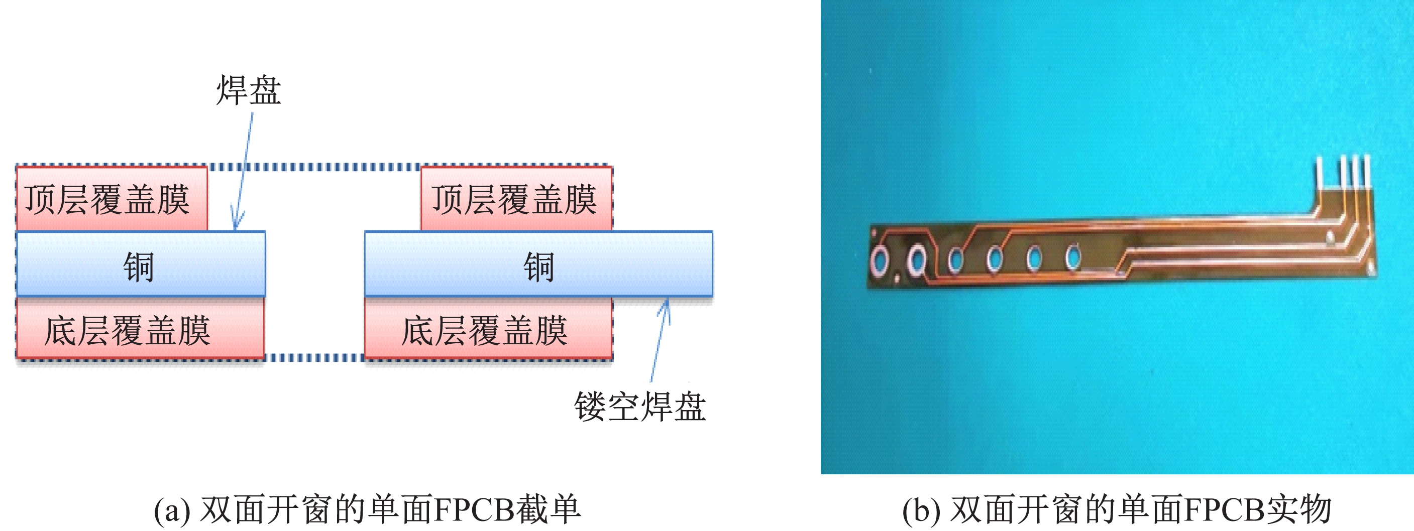 图1 双面开窗的单面FPCB挠性印制板