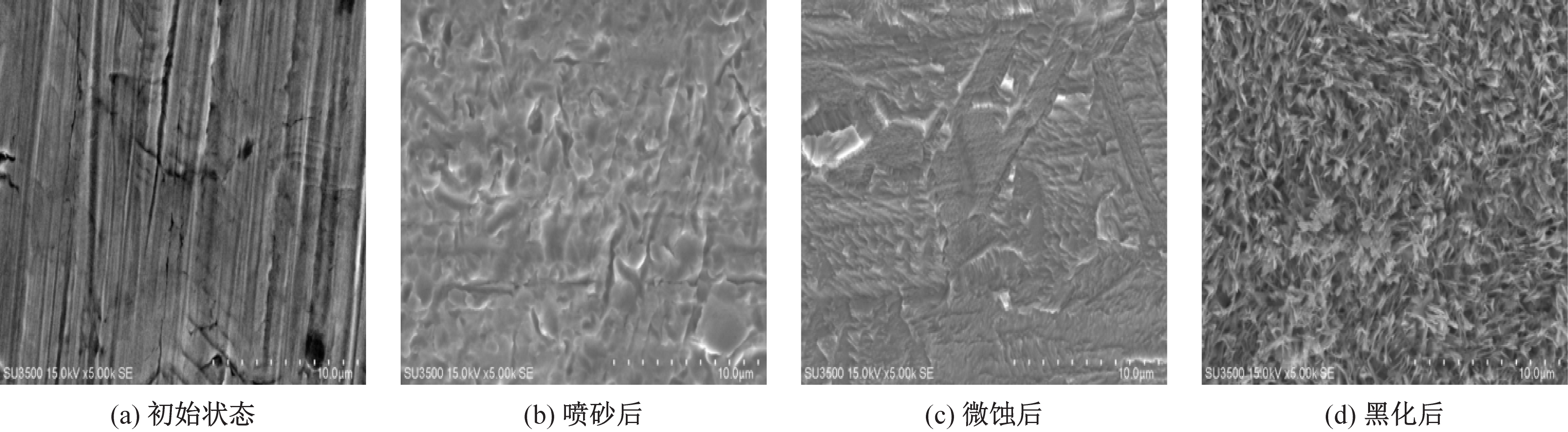 图7 铜箔表面不同处理方式扫描电镜